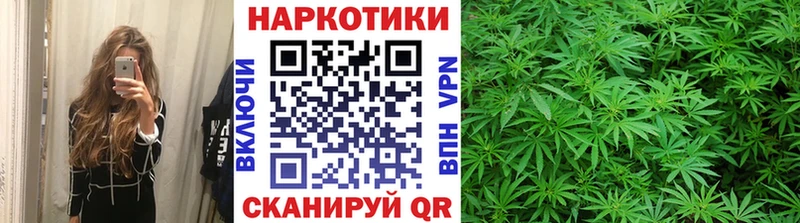 Бошки Шишки Мостовской