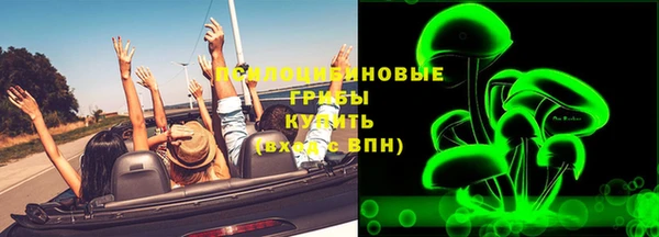твердый Инсар