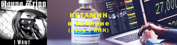 твердый Инсар