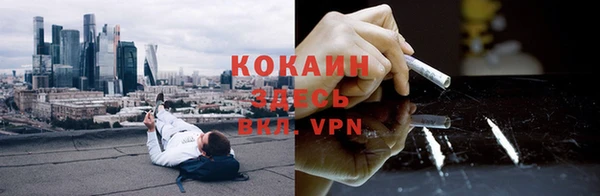 твердый Инсар