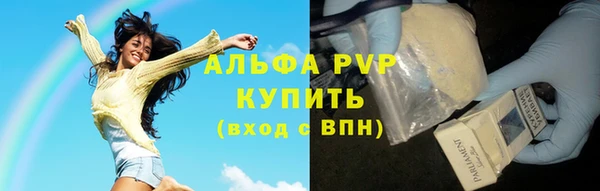 твердый Инсар
