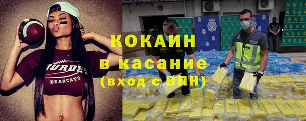 твердый Инсар