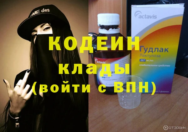 твердый Инсар
