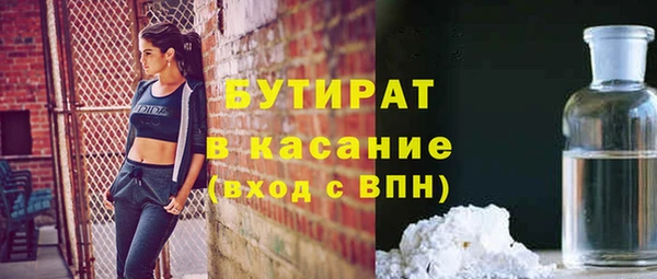 твердый Инсар