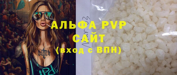 твердый Инсар
