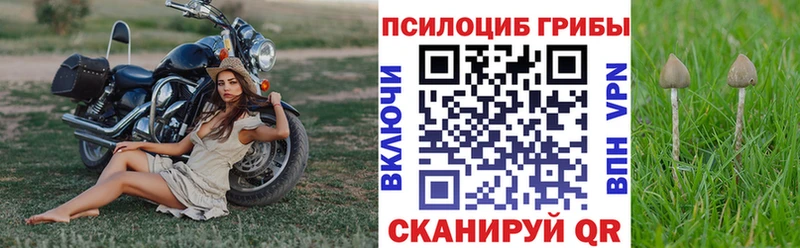 Галлюциногенные грибы мухоморы  Купить закладки  Мостовской 